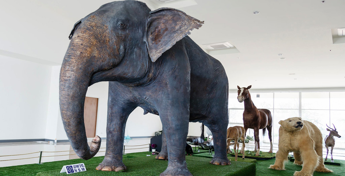 โซนนิทรรศการหมุนเวียน อพวช.