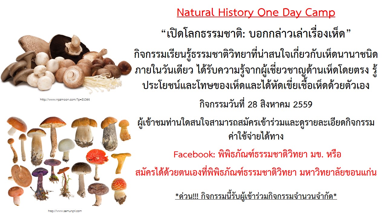 ใบสมัครกิจกรรม One Day Camp (ค่ายกิจกรรม) “เปิดโลกธรรมชาติ: บอกกล่าวเล่าเรื่องเห็ด”