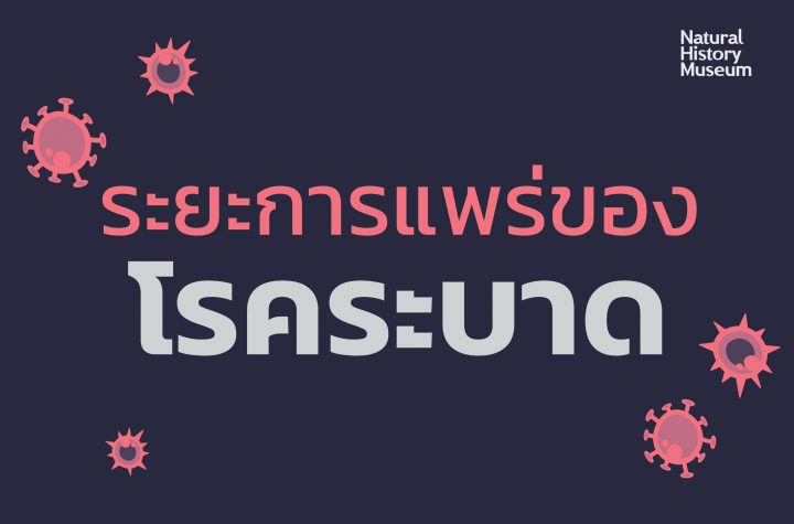 ระยะการแพร่ของโรคระบาด