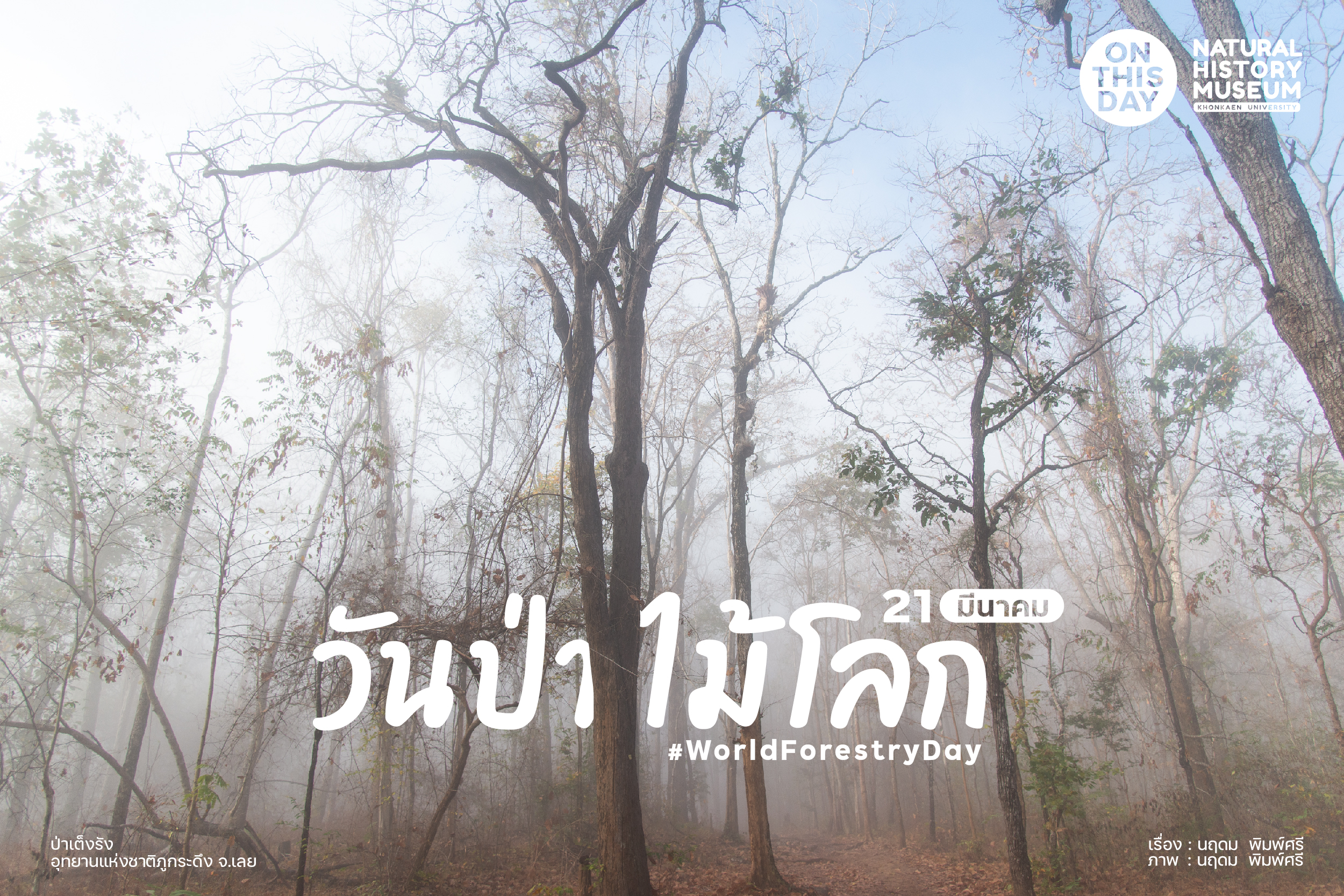 วันป่าไม้โลก World Forestry Day