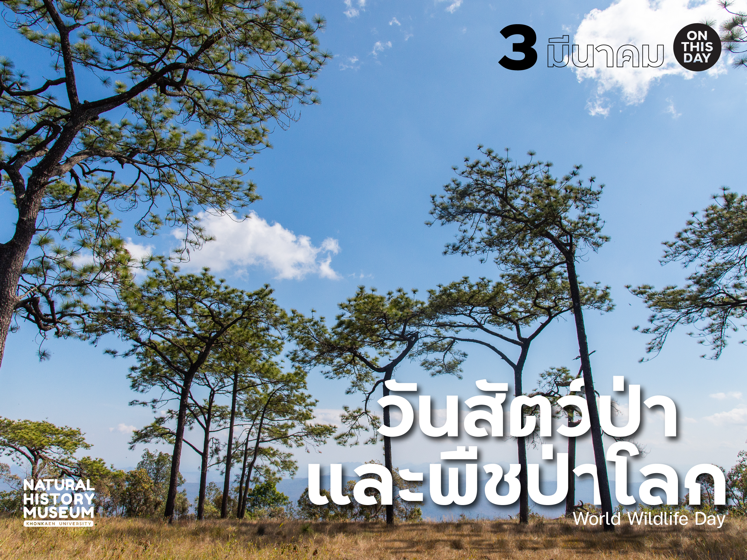 วันสัตว์ป่าและพืชป่าโลก