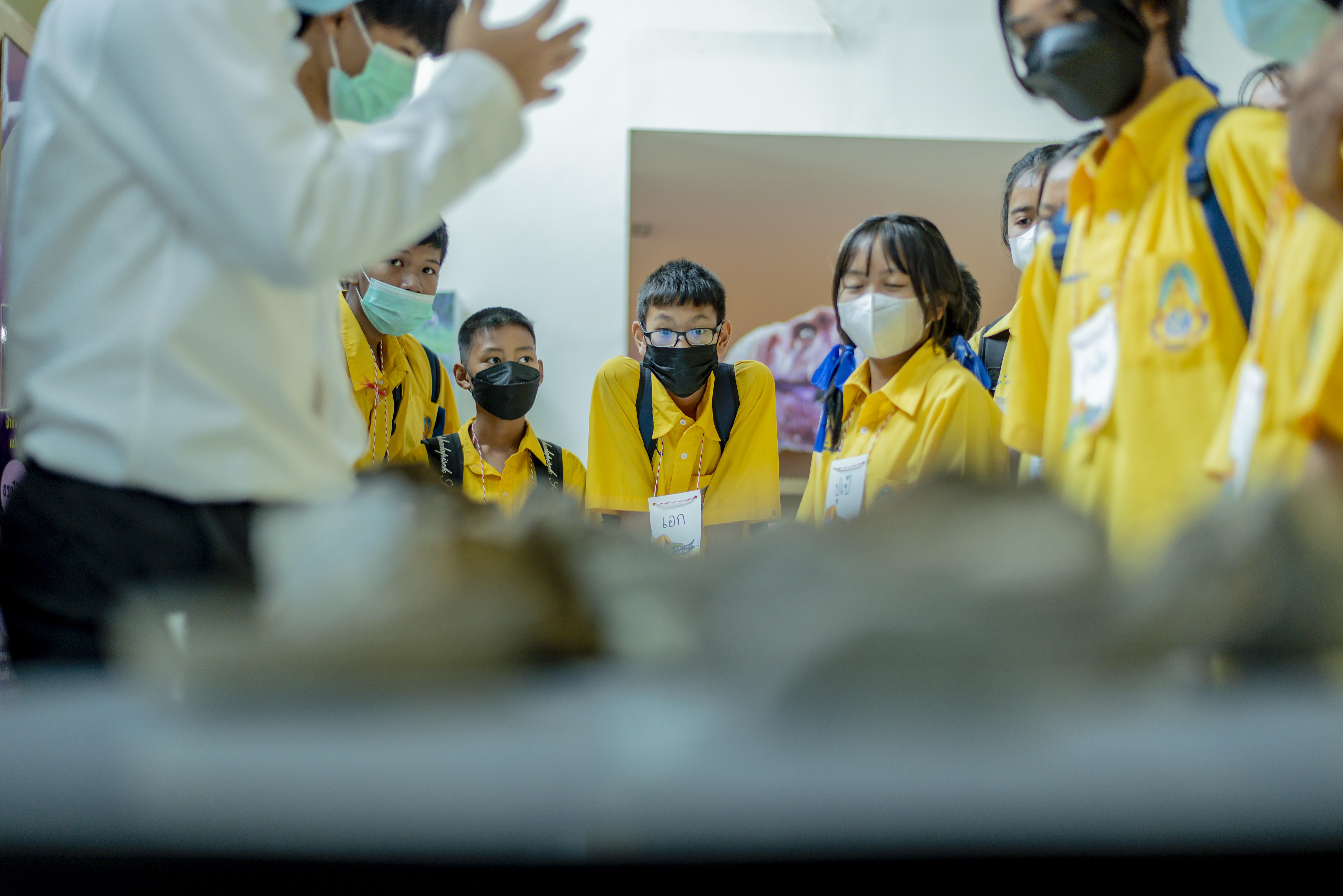 ONE-DAY CAMP : ในชั้นหินมีอะไรกันนะ x เรารู้จักแมลงแค่ไหน?