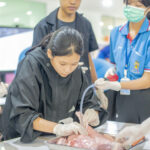 One Day Camp ครั้งที่ 13 : เรียนรู้เชิงปฏิบัติการ x สร้างแรงบันดาลใจ